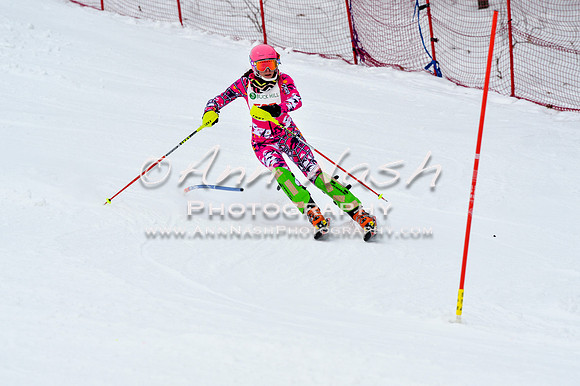 2016 January 22 alpine DSC_1493