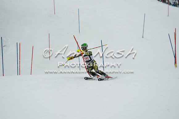 2015 December 18 alpine DSC_9184