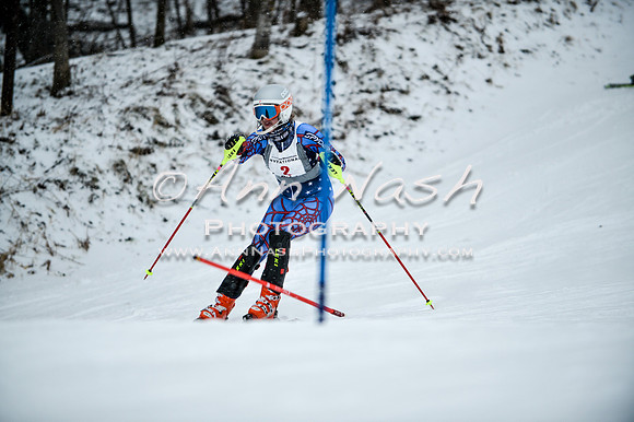 2015 December 18 alpine DSC_8952