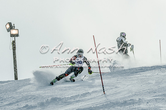 2016 February 14 alpine DSC_6698