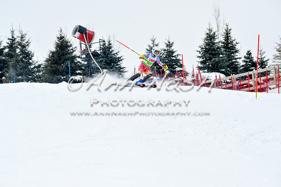 2016 January 22 alpine DSC_1371