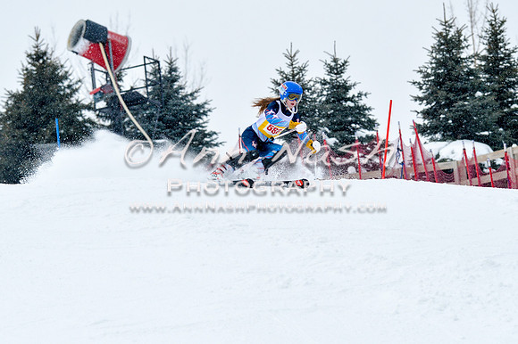 2016 January 22 alpine DSC_0964