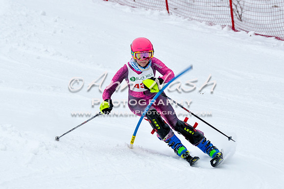 2016 January 22 alpine DSC_0802