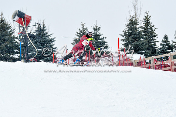 2016 January 22 alpine DSC_1197