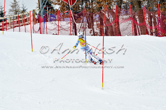 2016 January 22 alpine DSC_1836