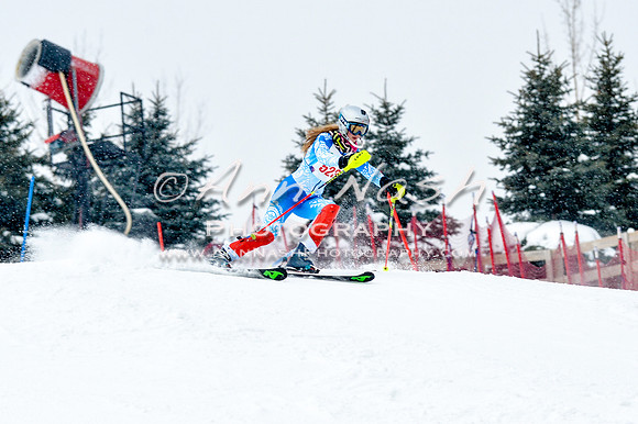 2016 January 22 alpine DSC_1110