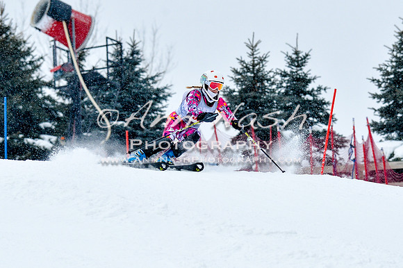 2016 January 22 alpine DSC_0730