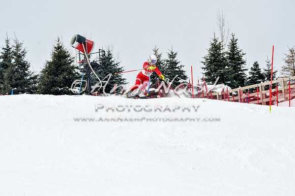 2016 January 22 alpine DSC_1720