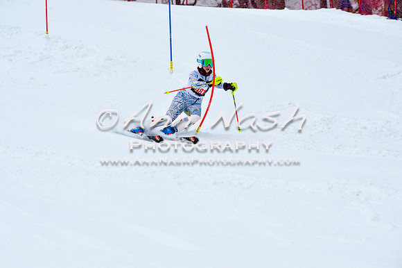 2016 January 22 alpine DSC_0658