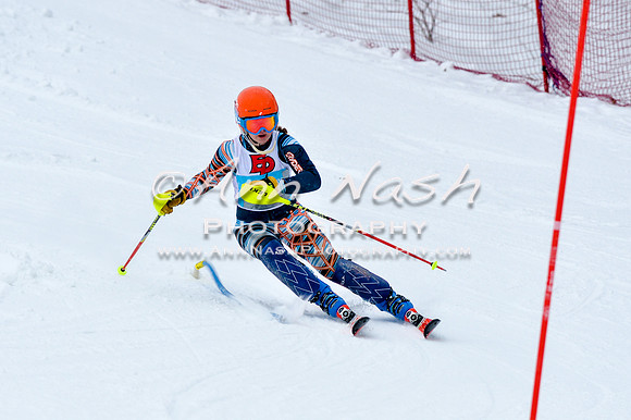 2016 January 22 alpine DSC_0645