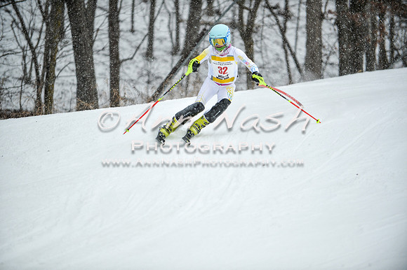 2015 December 18 alpine DSC_9157