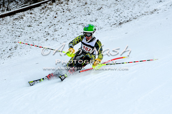2015 December 18 alpine DSC_9930
