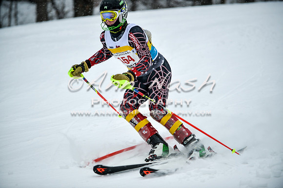 2015 December 18 alpine DSC_8970