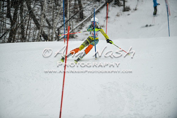 2015 December 18 alpine DSC_9165