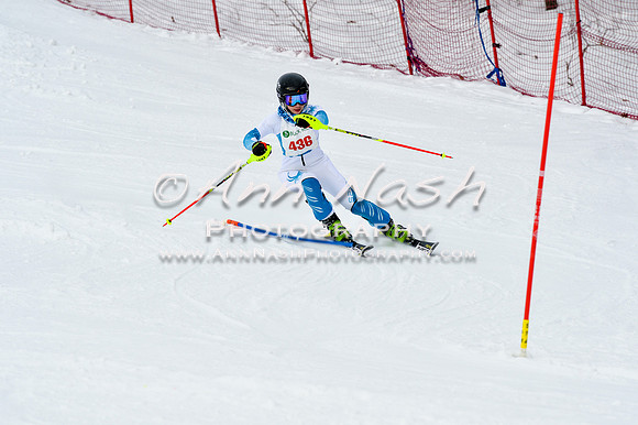 2016 January 22 alpine DSC_1591