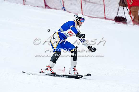 2016 January 22 alpine DSC_0986