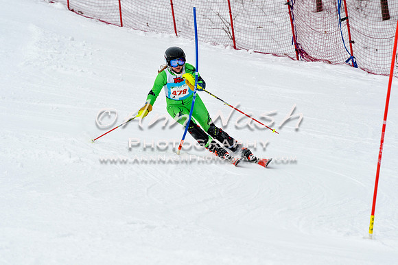 2016 January 22 alpine DSC_1893
