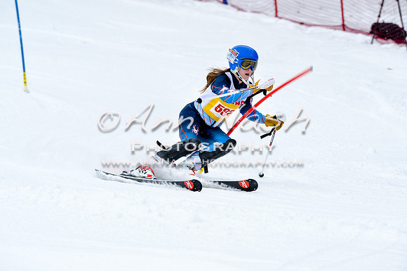 2016 January 22 alpine DSC_0967