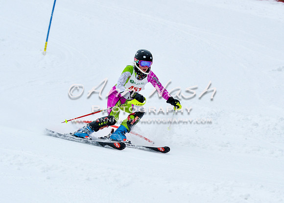 2016 January 22 alpine DSC_0614