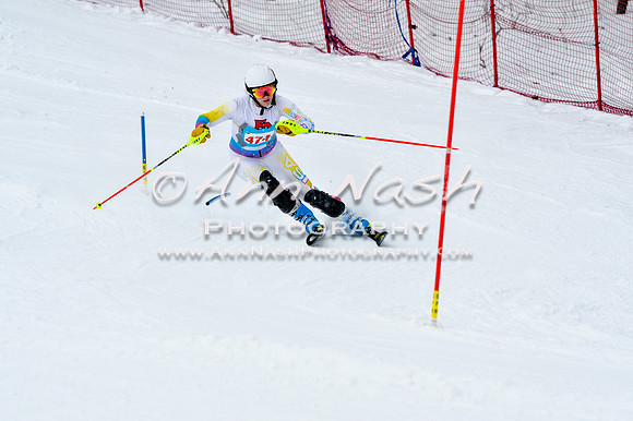 2016 January 22 alpine DSC_1251