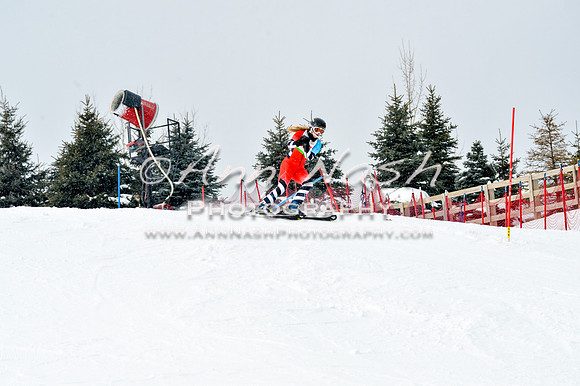 2016 January 22 alpine DSC_1740