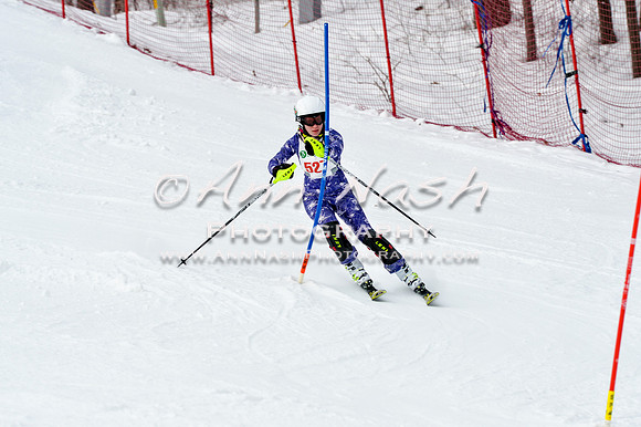 2016 January 22 alpine DSC_1805