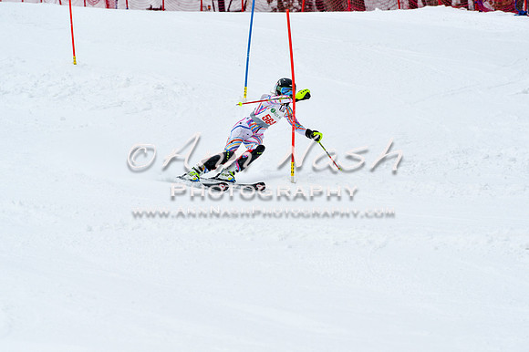 2016 January 22 alpine DSC_1338