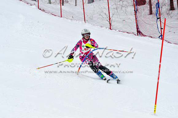 2016 January 22 alpine DSC_1425