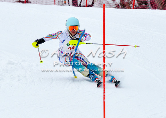 2016 January 22 alpine DSC_0810