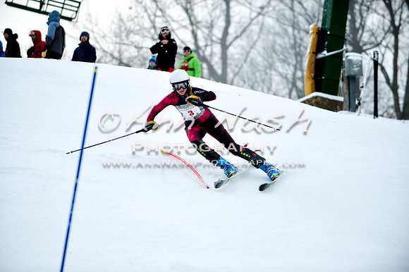 2015 December 18 alpine DSC_9801