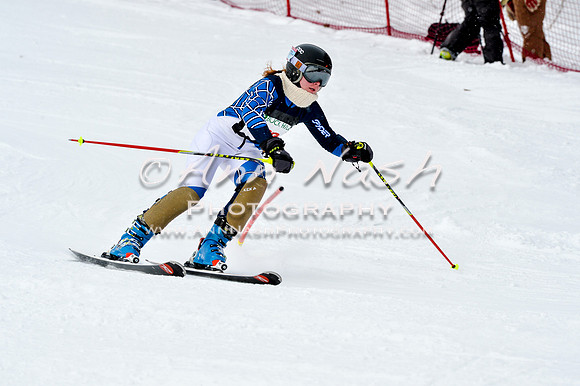 2016 January 22 alpine DSC_1905