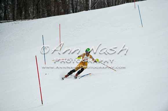2015 December 18 alpine DSC_9373