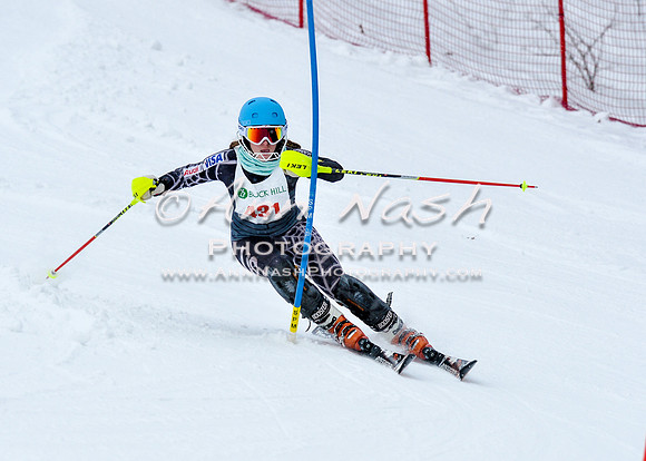 2016 January 22 alpine DSC_0597