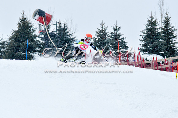2016 January 22 alpine DSC_0713