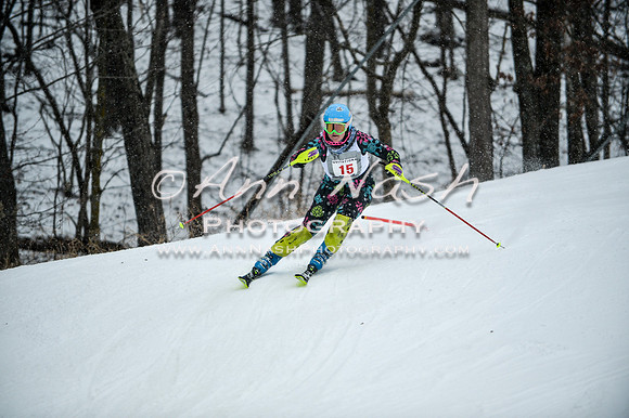 2015 December 18 alpine DSC_9069