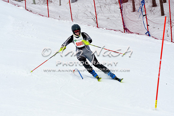 2016 January 22 alpine DSC_1521