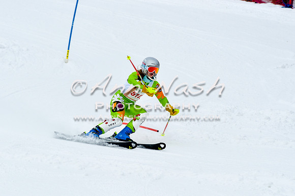 2016 January 22 alpine DSC_0896