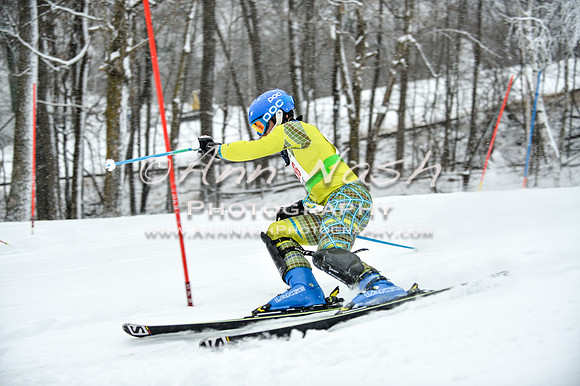 2015 December 18 alpine DSC_9280