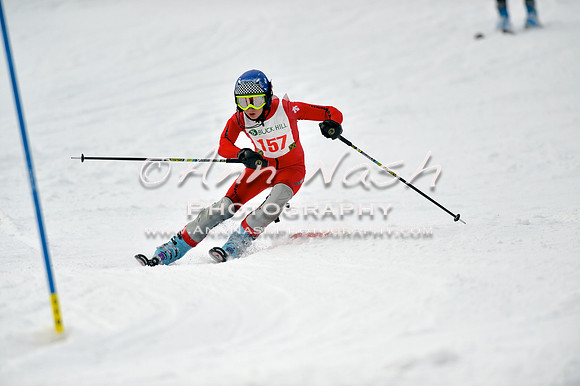 alpine_2015-01-22_12-48-12_DSC_2343_©AnnNashPhotographyLLC_2015
