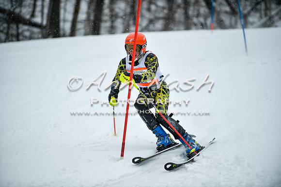 2015 December 18 alpine DSC_9006