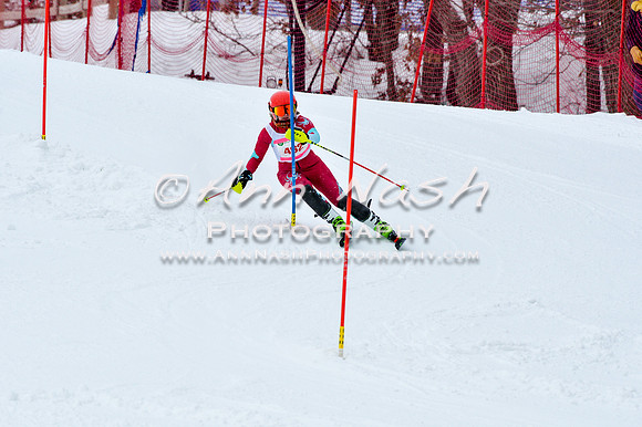 2016 January 22 alpine DSC_0834