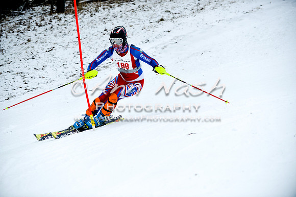 2015 December 18 alpine DSC_9833