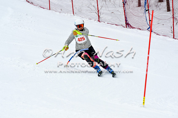 2016 January 22 alpine DSC_1411