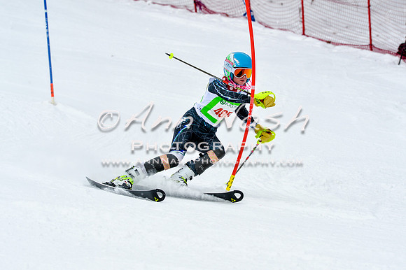2016 January 22 alpine DSC_1476