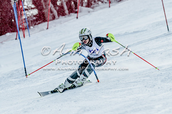 2016 February 14 alpine DSC_6580