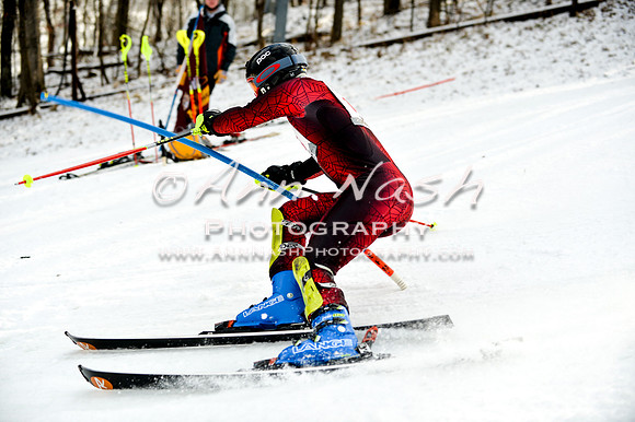 2015 December 18 alpine DSC_0002