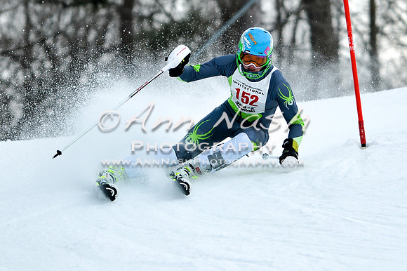 2015 December 18 alpine DSC_9795