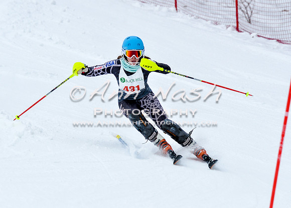 2016 January 22 alpine DSC_0598