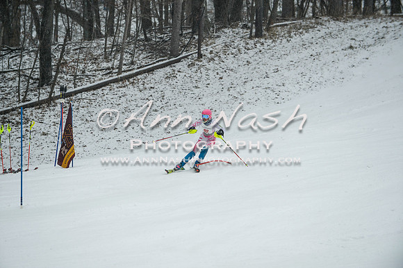 2015 December 18 alpine DSC_9381