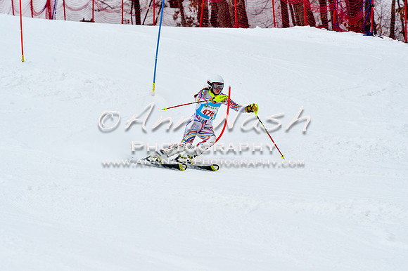 2016 January 22 alpine DSC_1459